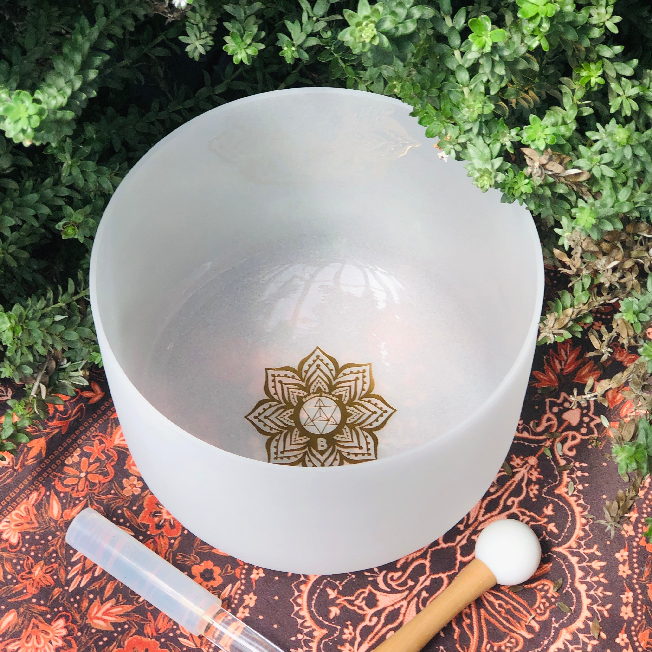 Rainbow Sounds Earth Star 10" Sound Therapy Bowl + Beige Carry Case
