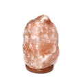 Himalayan Salt Lamp 110-250 LBS